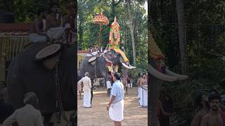 Thottekkad Vinayakan | Thottekkad Vinayakan | Tolur Pooram 2024 | Tholur pooram