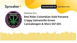 Red Rider Colombian Gold Panama Crippy Gainesville Green Cannabiogen \u0026 More S07 E03