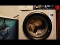 washing machine spin cycle electrolux 🌀 ultimate white noise for better sleep live