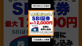 SBI証券を最大12,000円お得に口座開設する方法です‼️「ぽいからす SBI証券」とネット検索 #sbi証券 #新nisa