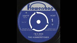 The Humberstones - I'm A Man (Garage Psych Revival)