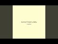Aurora Forest Lullaby