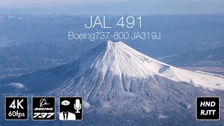 [4KMount Fuji] JAL491便 機長アナウンスと富士山 [JA319J]