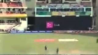 funny cricket and funny RUN OUTS in the end