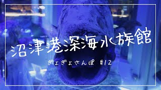 ぎょぎょさんぽ #12【沼津港深海水族館】