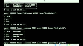 MySQL - Display Multiple Fields in Search- BASH - Linux