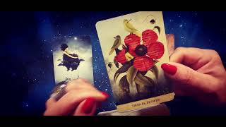 CANCER ♋ VIDÉO DE FIN D'ANNÉE 2024 ♋ Claire Voyance #tarot #horoscope #voyance