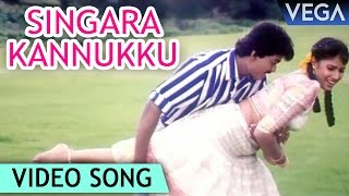 Singara Kannukku Full Video Song | Vishnu Tamil Movie Songs | Vijay | Sanghavi
