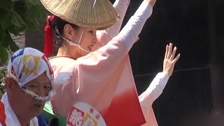 「飛鳥連」阿波踊り 第八回浅草橋紅白マロニエまつり2015