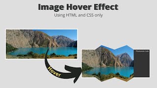 CSS Image Hover Effects | Image Hover Effect CSS | ProgrammingTT