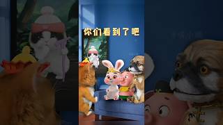 定要小心哦 #喵小腾 #喵喵西游记 #唐僧骑马咚了个咚 #shorts #viral #pets #kidsshorts #trending #youtubeshorts