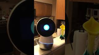 Alexa meets Jibo!