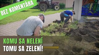 BEZ KOMENTÁRA: Výsadba zelene v Sobranciach pokračuje!