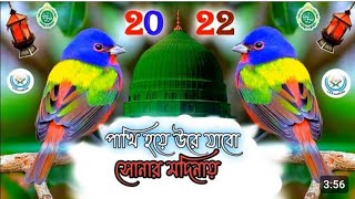 পাখি হলে উড়ে যেতাম সোনার মদিনায় রে  নতুন গজল ২০২৩ New gogal Bangla Amazing Islamic songs new gogal