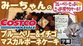 【字幕付き】コストコのケーキの新商品！ブルーベリー\u0026イチゴ マスカルポーネケーキの紹介です！マスカルポーネとホイップクリームがブルーベリーとイチゴの甘酸っぱさと相性バッチリの軽い美味しいケーキでした