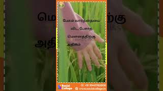 🌞காலை வணக்கம் 🌞 பேசும் வார்த்தையை விட, பேசாத மௌனத்திற்கு அதிகம் அர்த்தம் உண்டு 🌞காலை வணக்கம் 🌞 பேசு