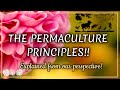 Permaculture Principles: A Guide To A Sustainable Living & Farming: Our perspective and observations