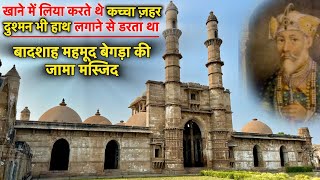 | Jami masjid Champaner | जहरीले बादशाह महमूद बेगड़ा की सबसे खूबसूरत मस्जिद।