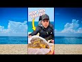 Freezing Sea Turtle Rescued! Part 1