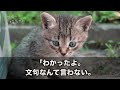 【スカッとする話】共働きの私に家事を丸投げする夫「冷凍食品なんて手抜き！母さんを見習え！！」私「わかりました。なら絶対に文句を言わないでね」→お望み通りにした結果ｗ