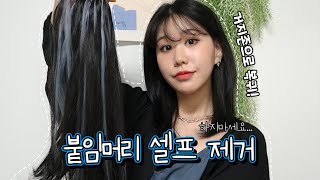 ❌붙임머리 셀프 제거....하지마세요...❌😫ㅣ붙임머리 장단점, 팁, 가격ㅣBORA💙