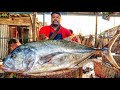 KASIMEDU 🔥 SPEED SELVAM | GIANT TRAVELLY FISH CUTTING VIDEO | 4K VIDEO | KM FISH CUTTING