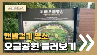 서울 맨발 걷기 명소: 송파 오금공원