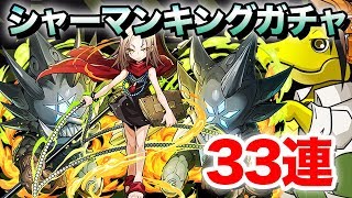 【パズドラ】強キャラ揃いのシャーマンキングガチャを33連したらあのキャラに愛されすぎた件【ガチャ】