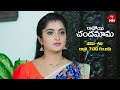 Ravoyi Chandamama Latest Promo | Episode No 1105 | 4th November 2024 | ETV Telugu