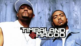 Timbaland \u0026 Magoo - Serious feat. Petey Pablo (Visualizer)