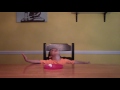 A three-year-old takes the marshmallow test