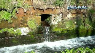 Die Fronmühle bei Hassloch - Mühlen in der Pfalz - Mühle am Speyerbach - HD Qualität