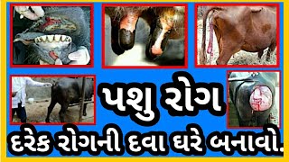 પશુ ને થતાં રોગ ની દવા ઘરે બનાવો વિડિયો મા માહિતી મેળવો. Pashu na darek Rog ni dava // Mobail Video