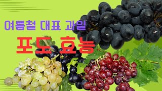 여름철 대표 과일 피를 맑게 해주는 포도의 효능 (피로회복, 암예방, 심장질환개선, 시력개선 등) / Grape efficacy, cancer prevention.