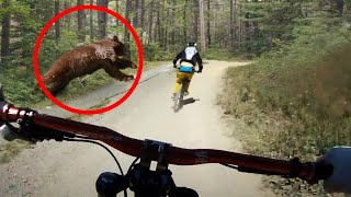 10 Scariest Recent Animal Encounters!