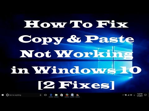 How to Fix Copy and Paste Not Working on Windows 10 [2 Fixes]