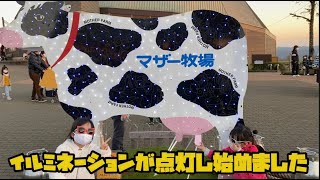 マザー牧場のイルミネーションと富士山(Mother Farm illumination and Mt.Fuji)