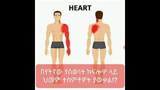 በእነዚህ የሰውነት ክፍሎች ላይ የህመም ስሜት ሲከሰት የሚጠቁመን የጤና ሁኔታችን himem tenachin #ethiopia #ethiopiatoday