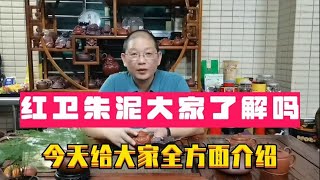 红卫朱泥是怎么样的？今天给大家从矿标、矿料到成品壶全方面介绍