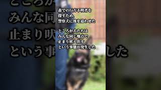 【意味が分かると怖い話】警察犬が吠える場所#shorts #意味が分かると怖い話