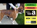 Pet Care - Dog | Puppy Hairfall | Skin Problem - Bhola Shola | Harwinder Singh Grewal