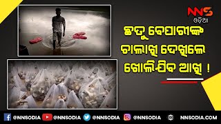 #HINDOL  contaminated #Mushroom #NNSODIA ଅପମିଶ୍ରିତ ଛତୁ ବେପାର । ଏମାନଙ୍କୁ ରୋକିବ କିଏ ???