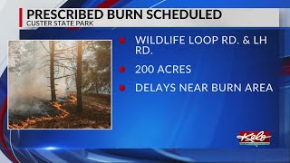 Prescribed burn set at Custer State Park