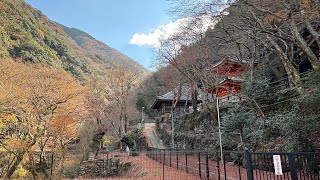 日本 大阪Osaka 5 - 清靜的 牛瀧山 大威德寺 | 紅葉 | 牛滝温泉四季まつり用膳