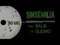 sinsemilia nourrissons nos cerveaux 30ans feat. balik u0026 guizmo