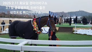 [경마]2월11일 화요일 이바구쇼 (세계일보배 썰이 삼천포로 빠진사단)