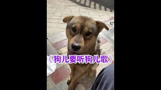 绝育三年的老狗离世前产下小狗！小狗会代替它继续守护主人   #狗儿要听狗儿歌 #这个世界不能没有小狗 #感人