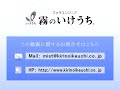 【霧のいけうち】充円錐 bbxp