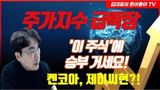 [주식]급락장! 승부를 걸 주식은? 시장의 핵심주도주 잡으세요!