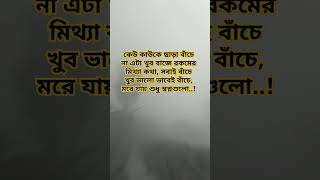 কেউ কাউকে ছাড়া বাঁচে না এটা খুব বাজে রকমের মিথ্যা কথা, সবাই বাঁচে খুব ভালো ভাবেই বাঁচে, মরে যায়